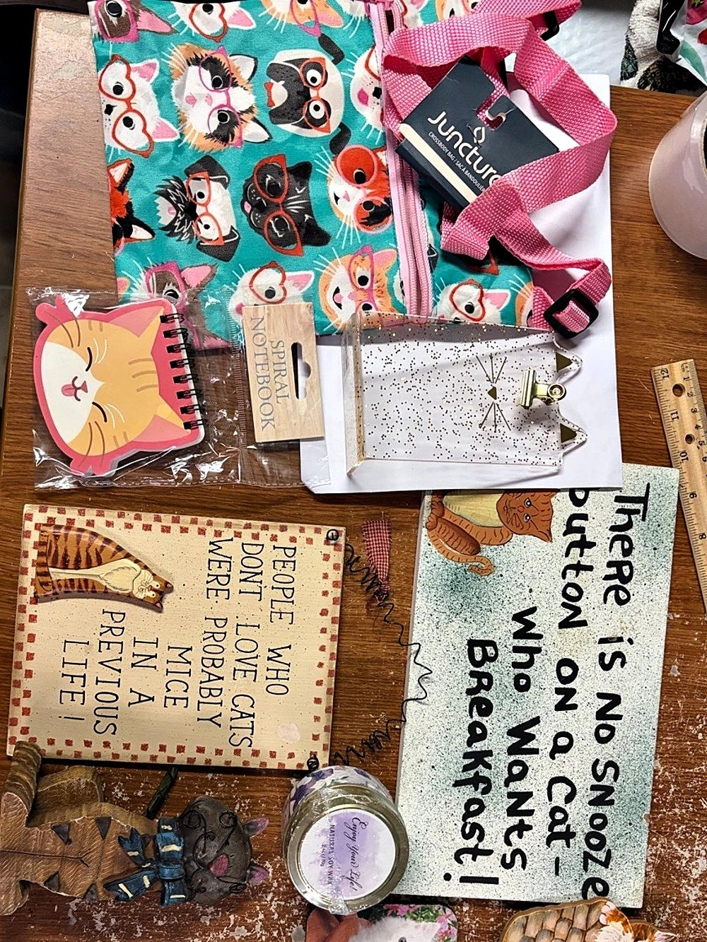 Cat items